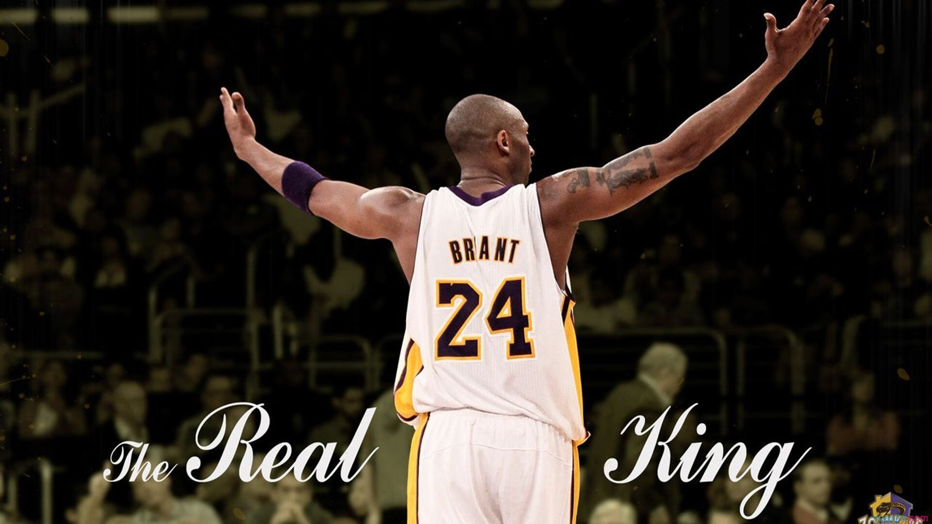 斯波谈威金斯：联盟顶级攻防兼备，能从1防到5，威金斯打法